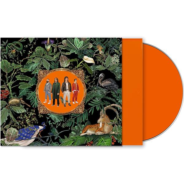 Amazing things - Front Cover