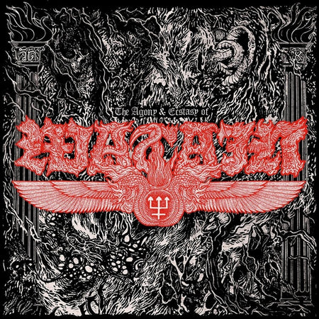 The Agony & Ecstasy of Watain - Front Cover