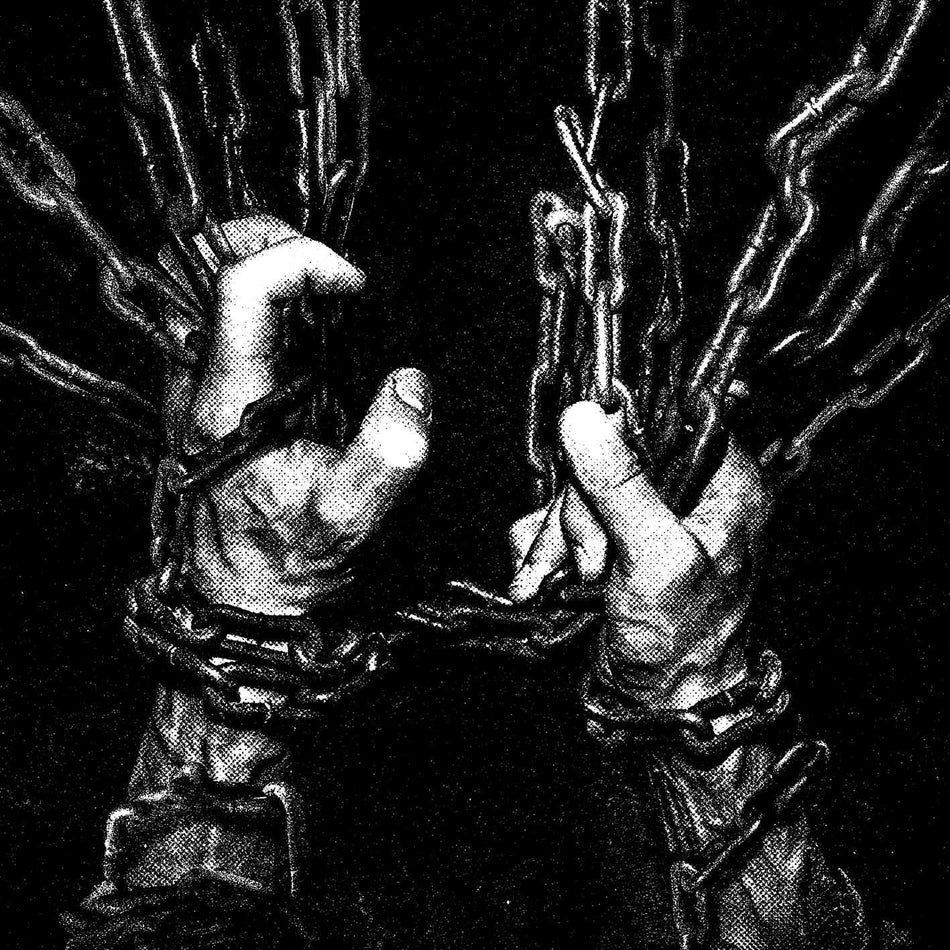 WITHIN THE VISCERA - Back Cover