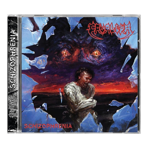 Schizophrenia - Front Cover