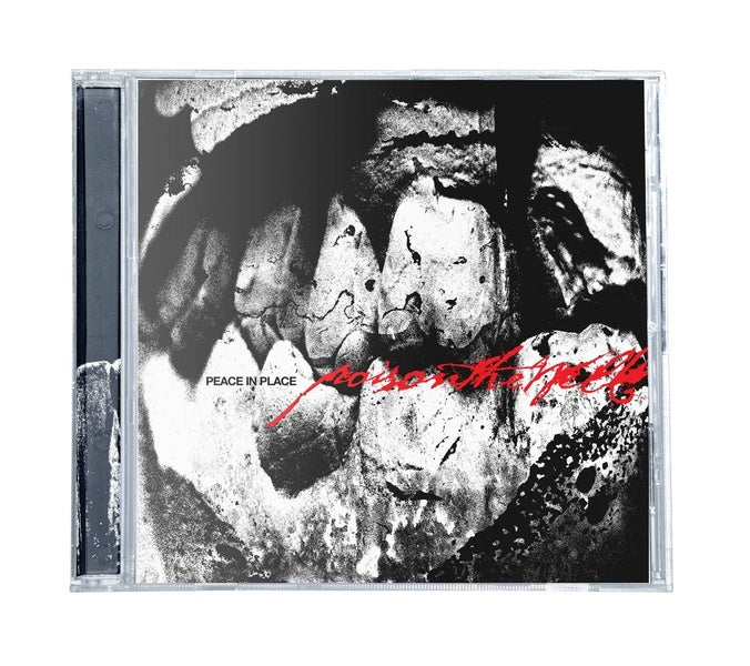 Peace In Place - Front Cover