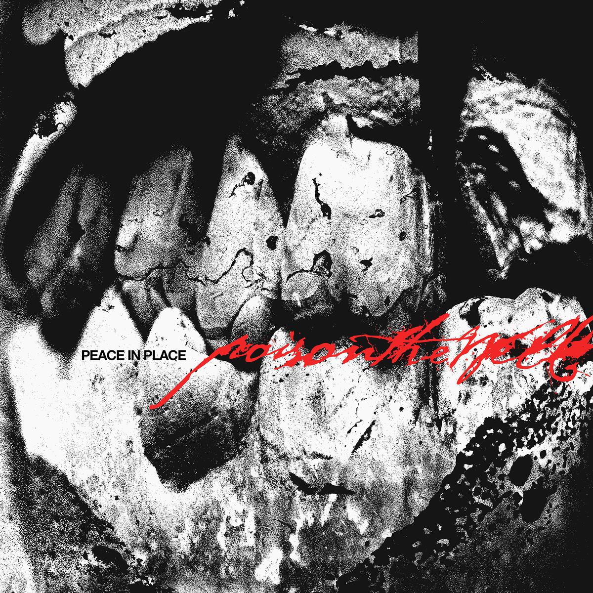 PEACE IN PLACE - Front Cover