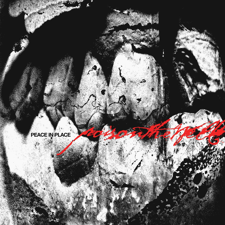 PEACE IN PLACE - Front Cover