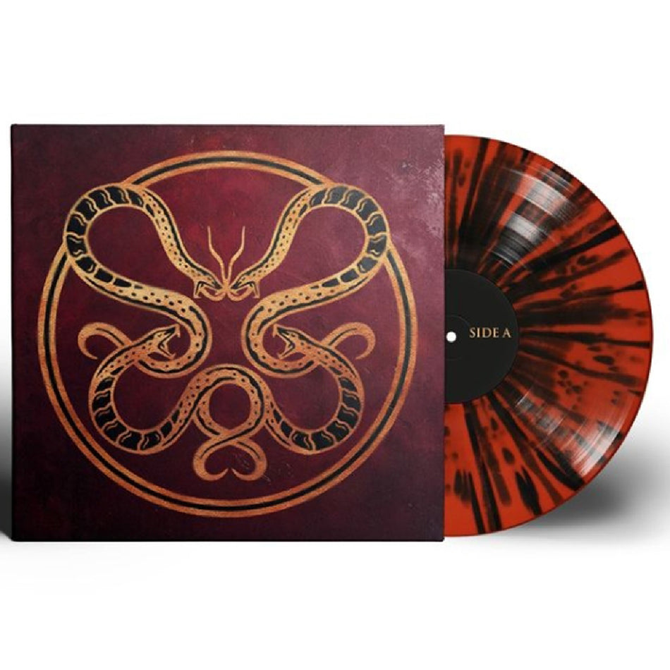 The Anatomy - Front Cover