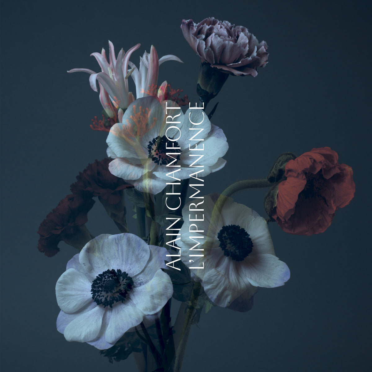 L’impermanence - Front Cover