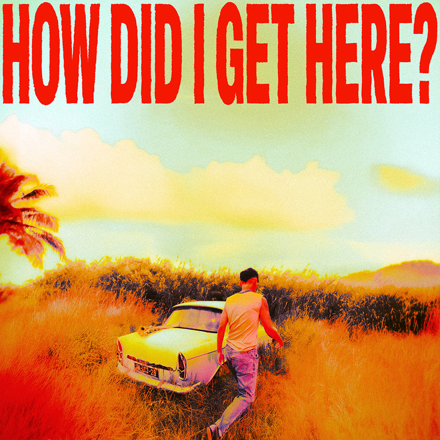 How Did I Get Here? - Front Cover