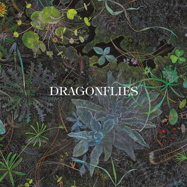 Dragonflies - Front Cover