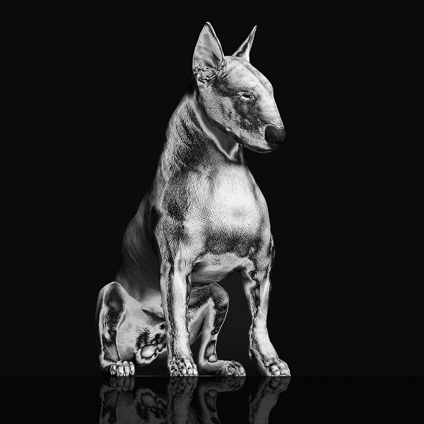 PLATINUM STATUE - Front Cover