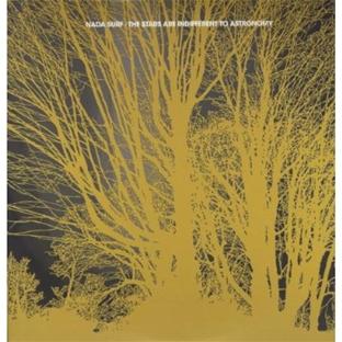 The Stars Are Indifferent to Astronomy - Front Cover