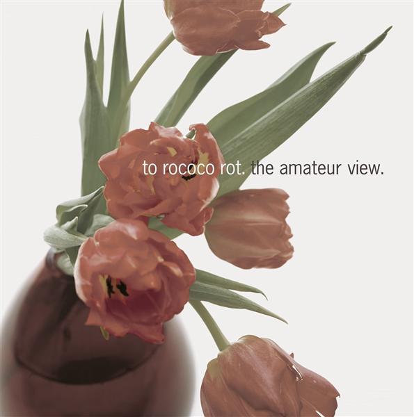 The amateur view - Front Cover