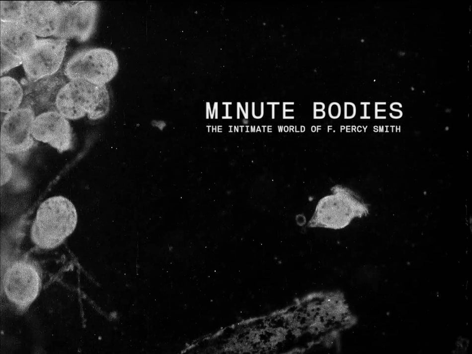 MINUTE BODIES THE INTIMATE WORLD OF - Front Cover