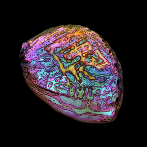 属 Belonging - Front Cover