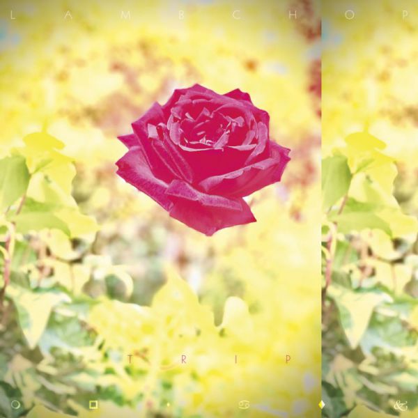 TRIP - Front Cover