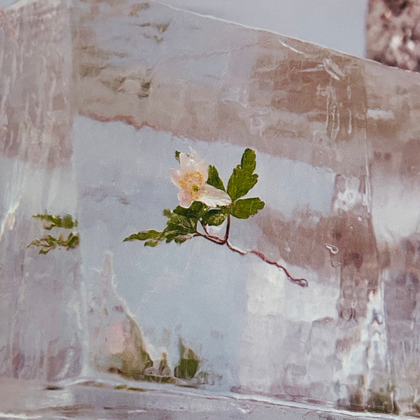 Efterklang - Windflowers
