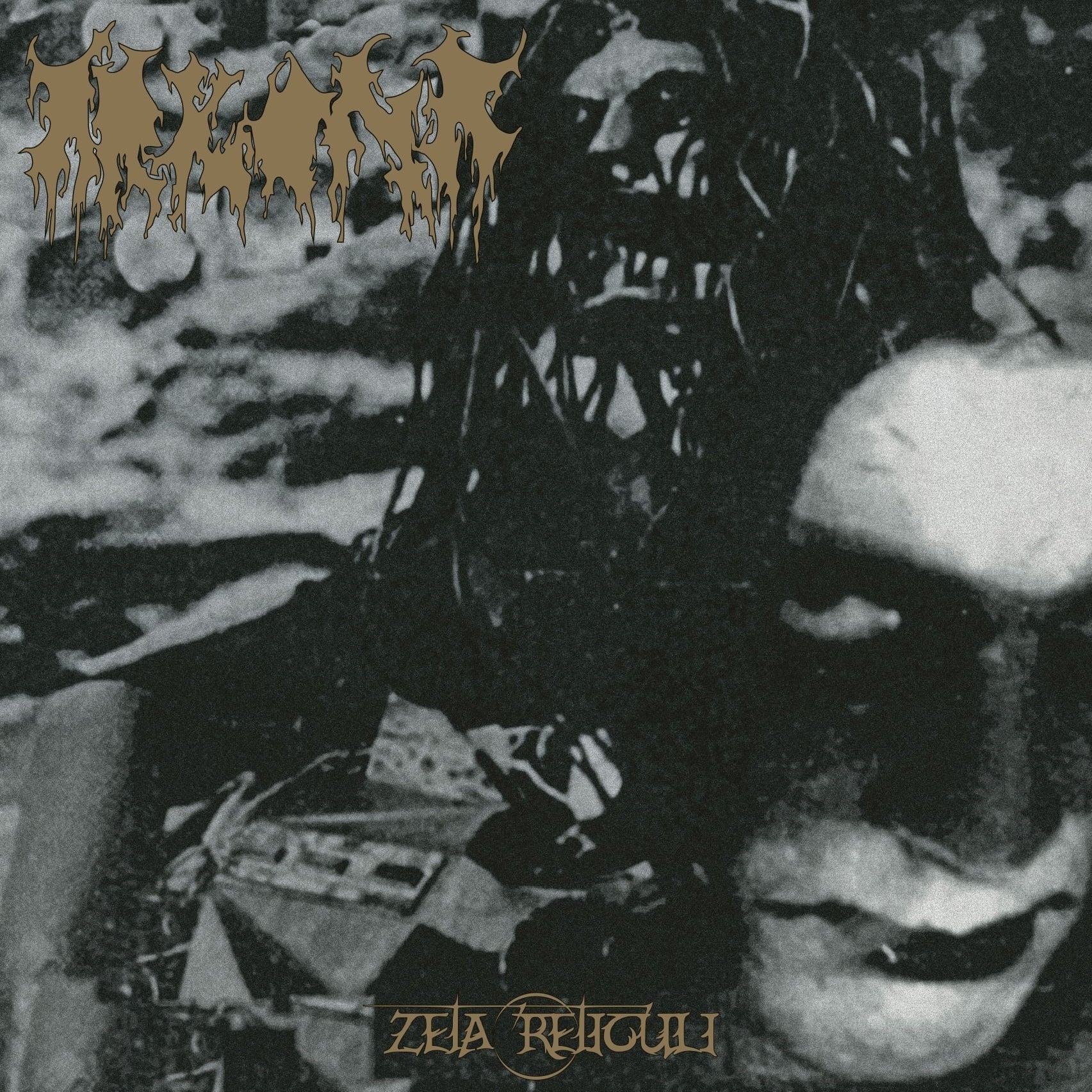 Zeta Reticuli - Front Cover