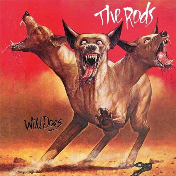 Wild dogs - Front Cover