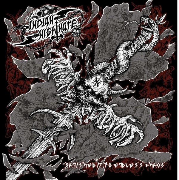 Banished Into Endless Chaos - Front Cover