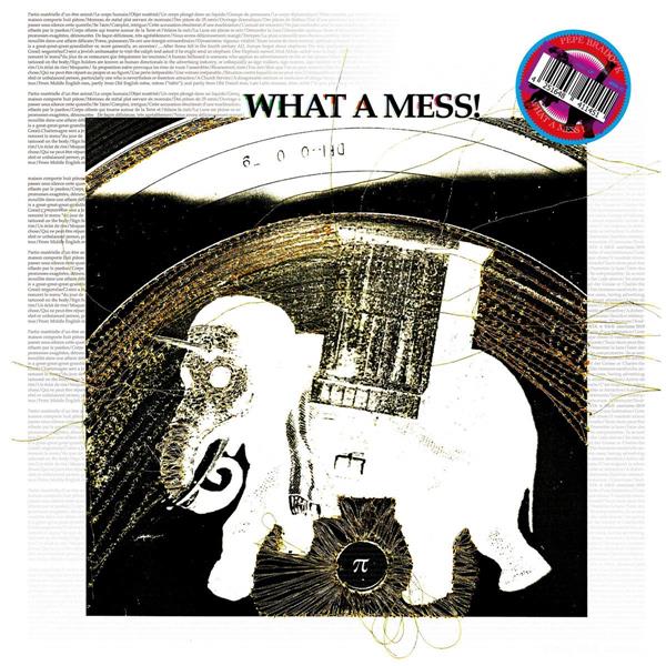 What a mess ! - Front Cover