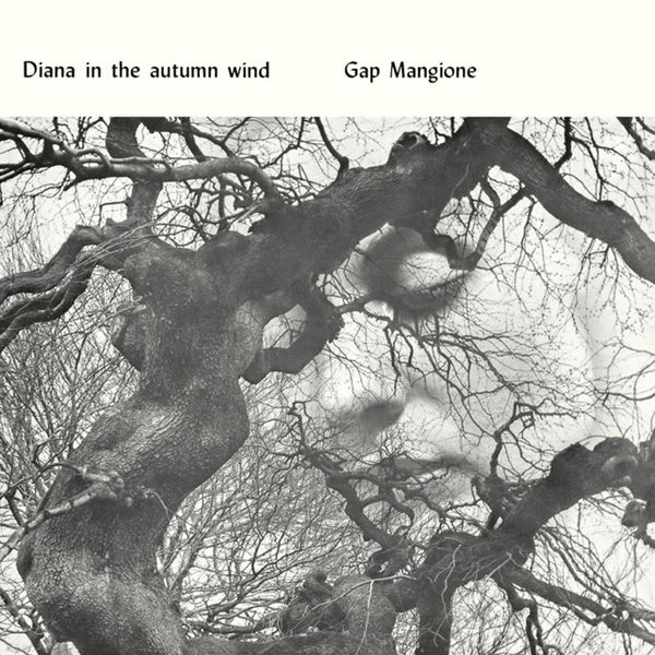 Diana In The Autumn Wind - Front Cover