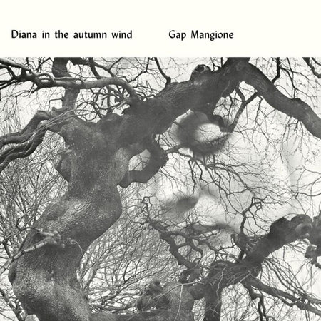 Diana In The Autumn Wind - Front Cover