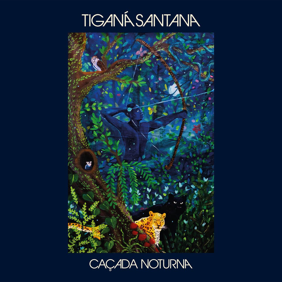 CACADA NOTURNA (vinyl) - Front Cover