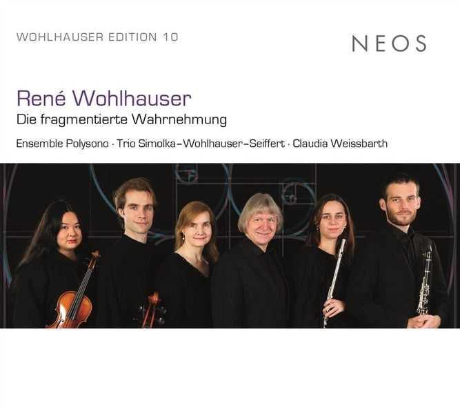 René Wohlhauser: Die fragmentierte Wahrnehmung - Front Cover
