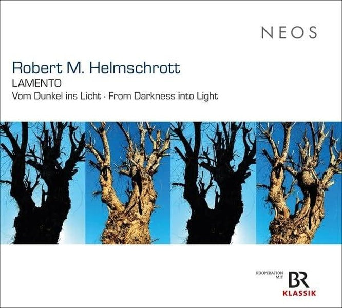 Robert M. Helmschrott: Lamento - Vom Dunkel ins Licht · From Darkness into Light - Front Cover