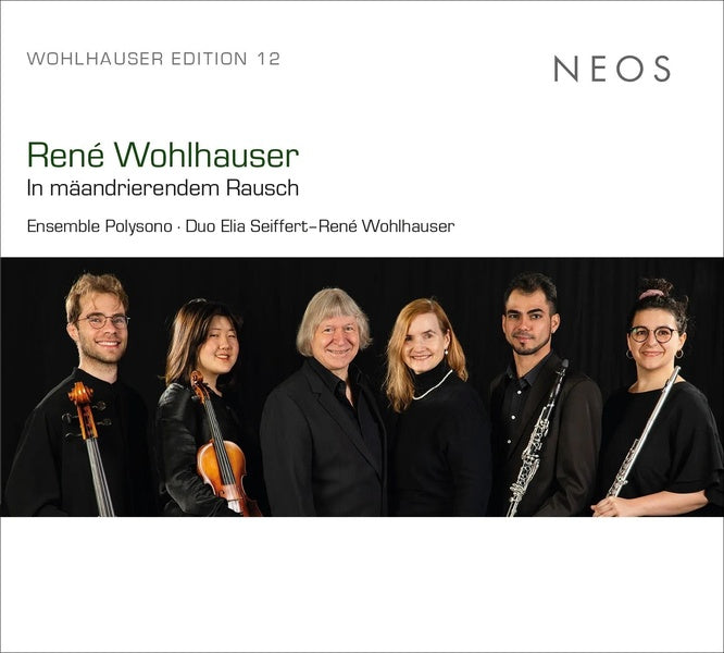 René Wohlhauser: In mäandrierendem Rausch - Front Cover