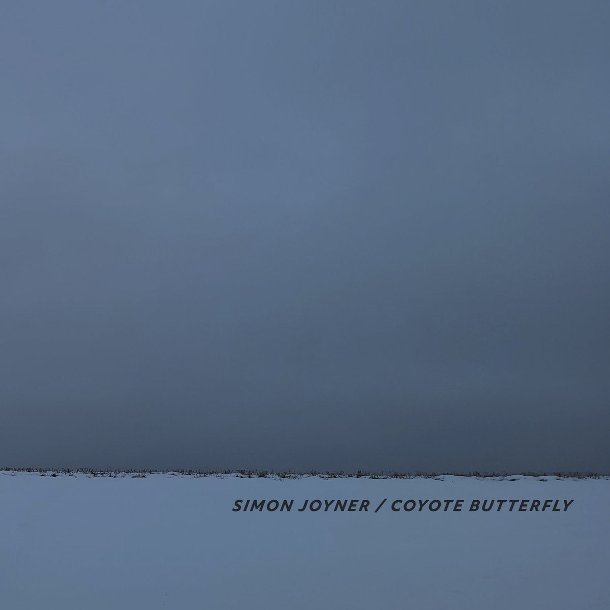 Coyote Butterfly - Front Cover