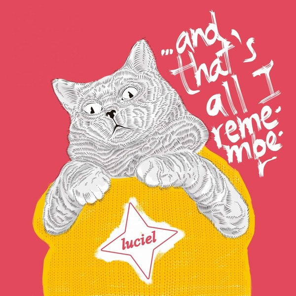 AND THAT'S ALL I REMEMBER - Front Cover