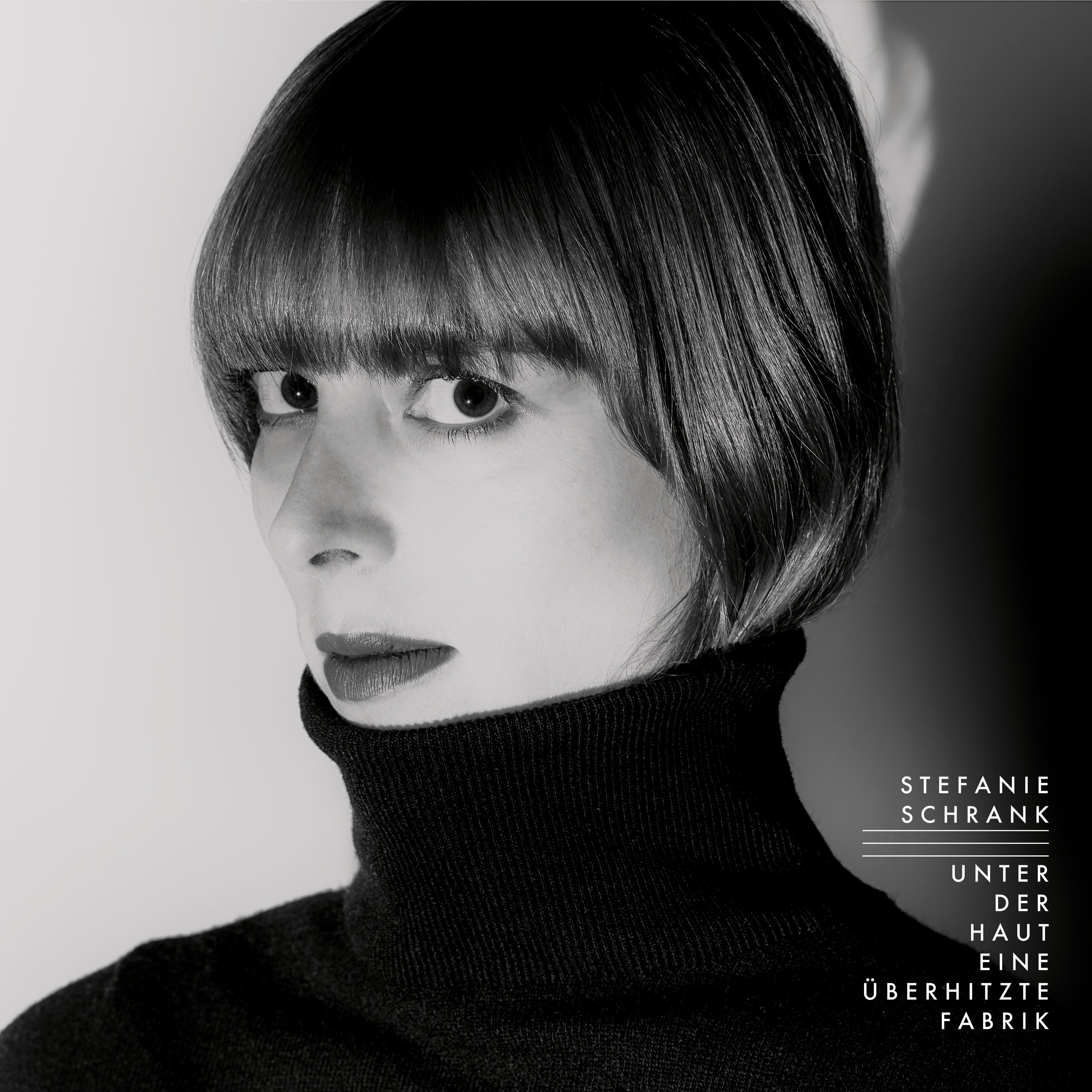 UNTER DER HAUT EINEUBERHITZTE FABRIK/EDITION LIMITEE - Front Cover