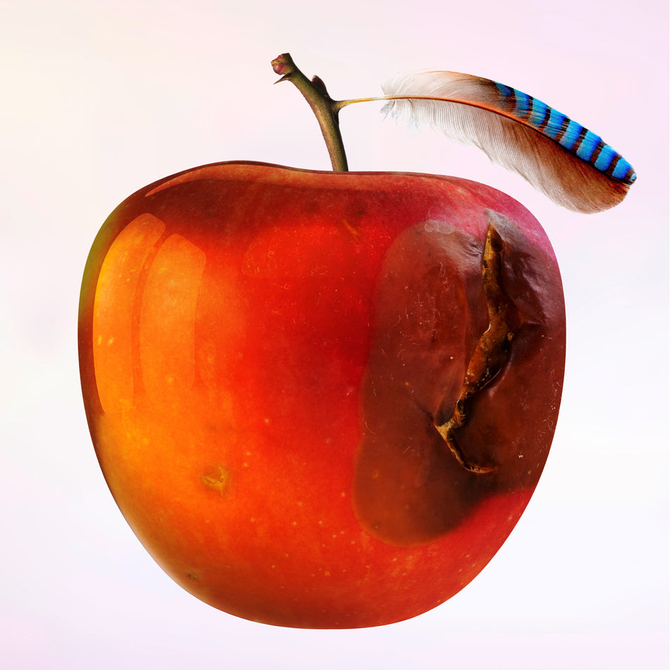 ENTENTRAUM/GATEFOLD - Front Cover