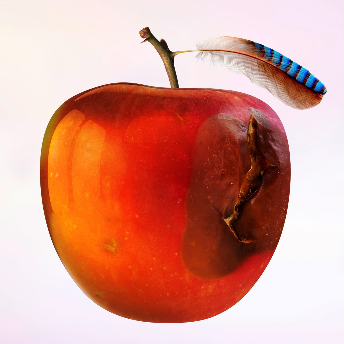 ICH WILL SO SEIN WIE/NINA HAGEN - Front Cover