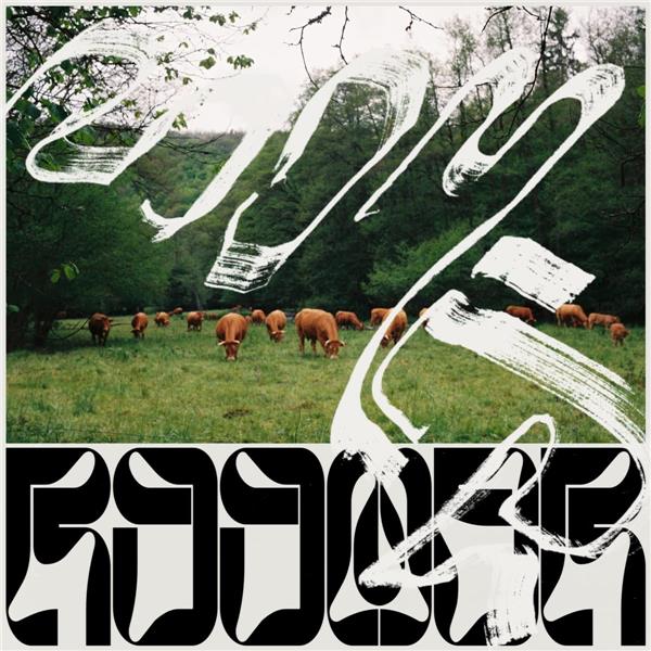 Skice - Front Cover