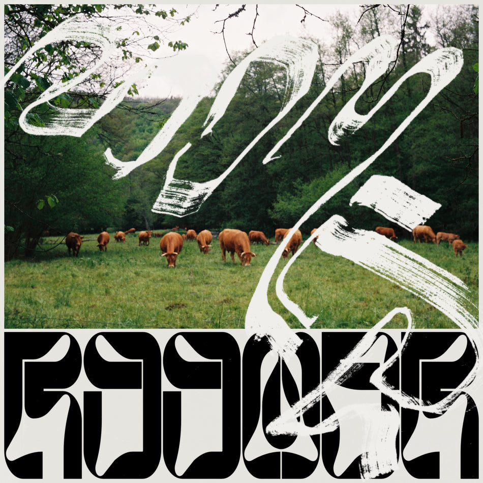 Skice - Front Cover