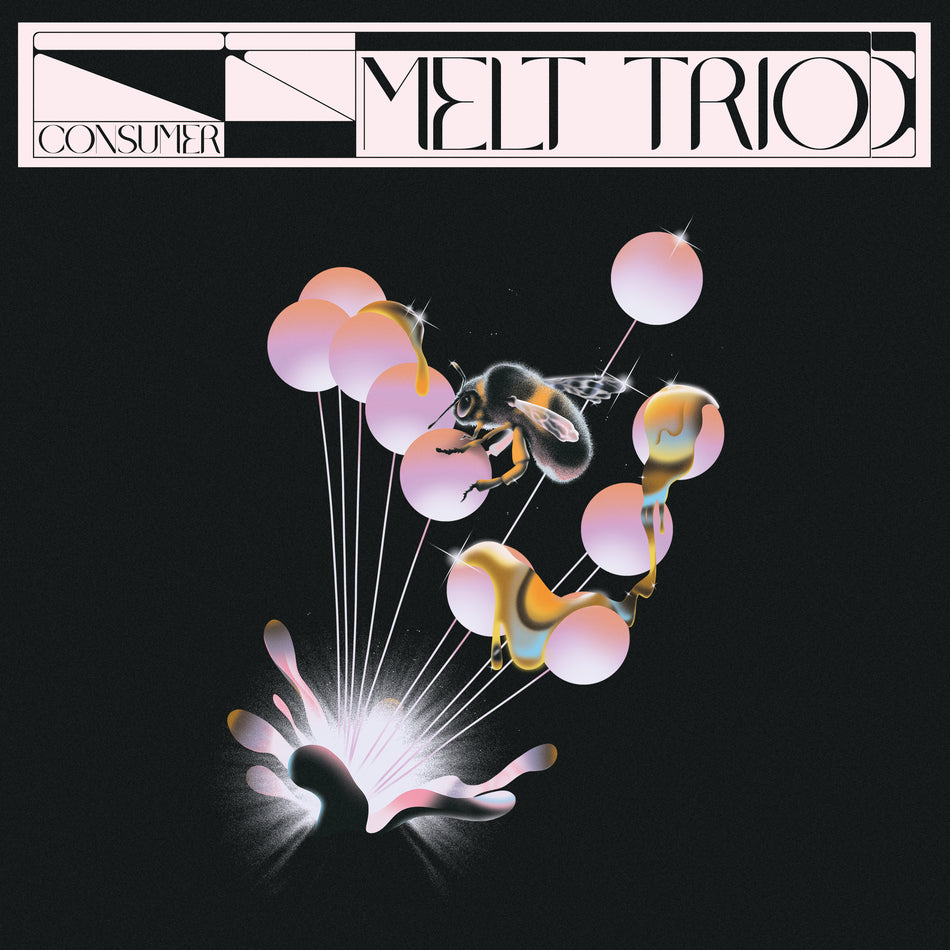 Consumer - Front Cover