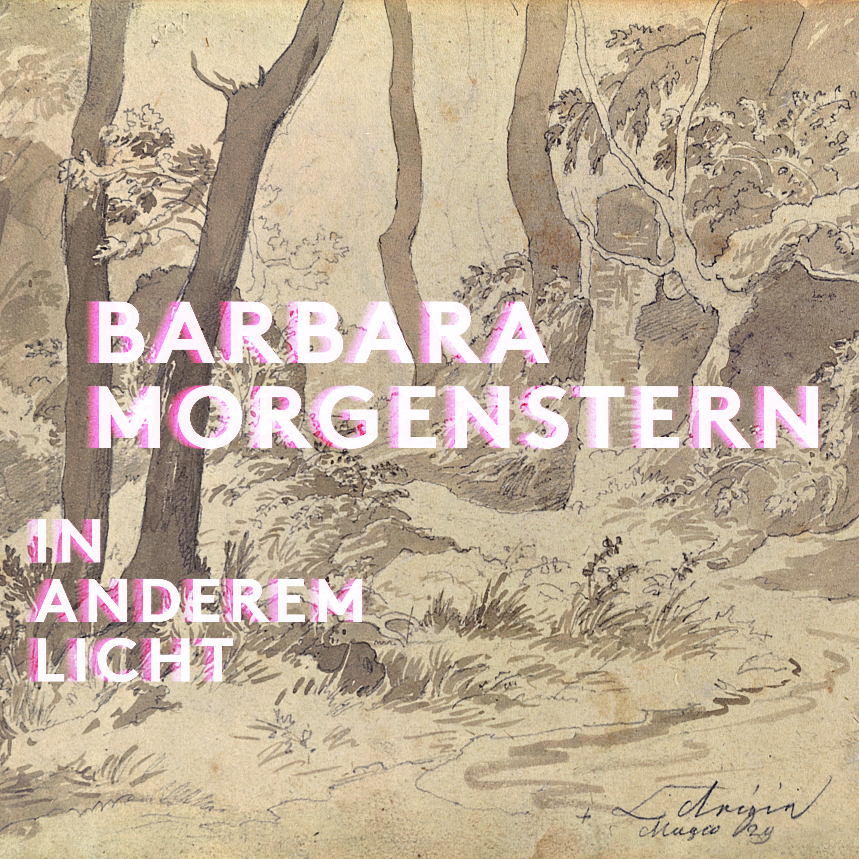 IN ANDEREM LICHT - Front Cover