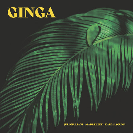 Ginga - Front Cover