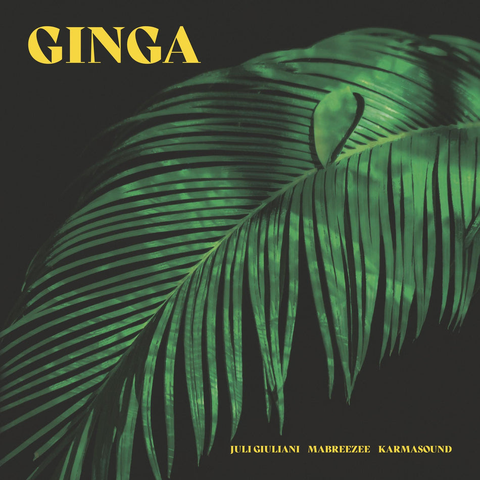 Ginga - Front Cover