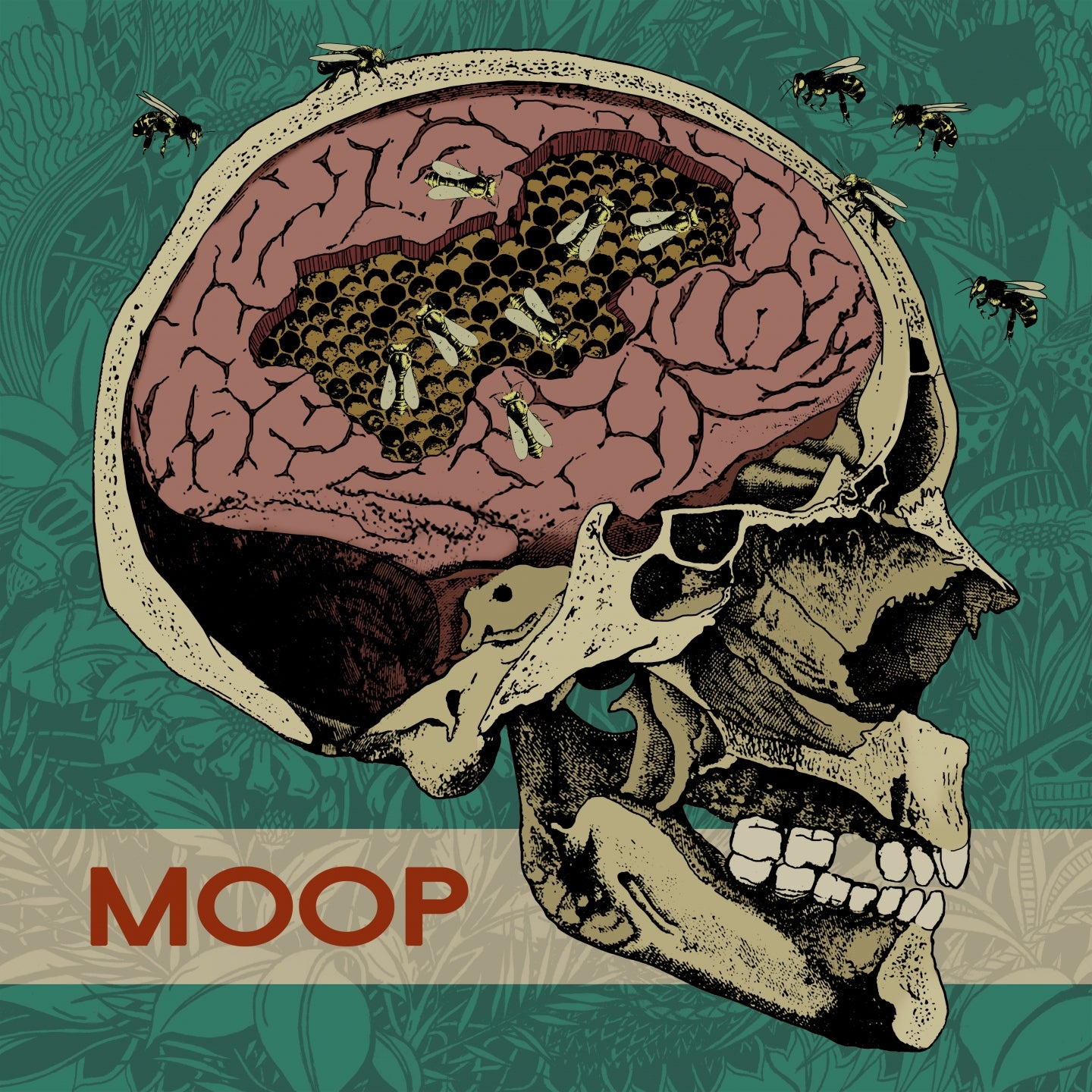 MOOP/VINYLE COULEUR - Front Cover