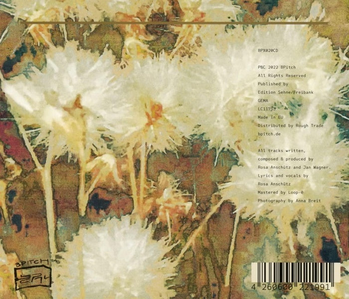 Goldener Strom - Front Cover