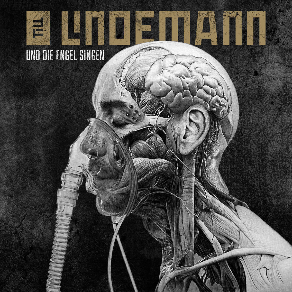 UND DIE ENGEL SINGEN - Back Cover