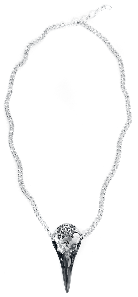 Collier Gothic de Alchemy Gothic - Volvan Raven Skull - pour Unisexe - couleur argent - Alchemy Gothic - View 2