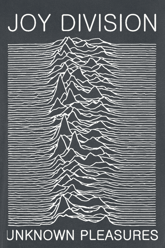 T-Shirt Manches courtes  de Joy Division - Amplified Collection - Unknown Pleasures - S à XXL - pour Homme - anthracite - Joy Division - View 2