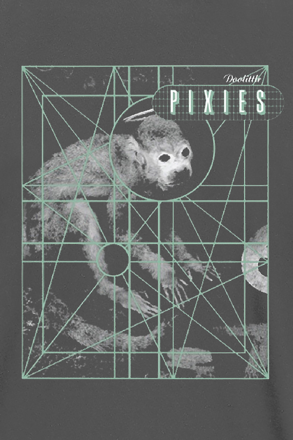 T-Shirt Manches courtes  de Pixies - Monkey Grid - S à XXL - pour Homme - anthracite - Pixies - View 2