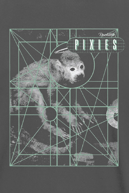 T-Shirt Manches courtes  de Pixies - Monkey Grid - S à XXL - pour Homme - anthracite - Pixies - View 2