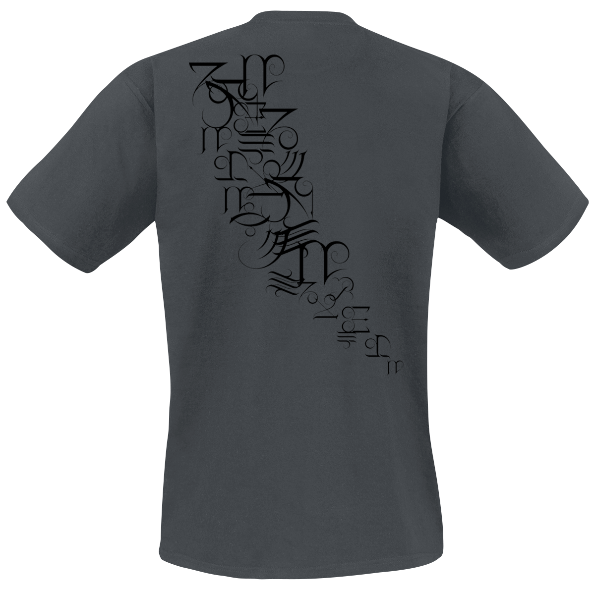 T-Shirt Manches courtes  de A Perfect Circle - Hieroglyphics - S à XXL - pour Homme - anthracite - A Perfect Circle - View 2