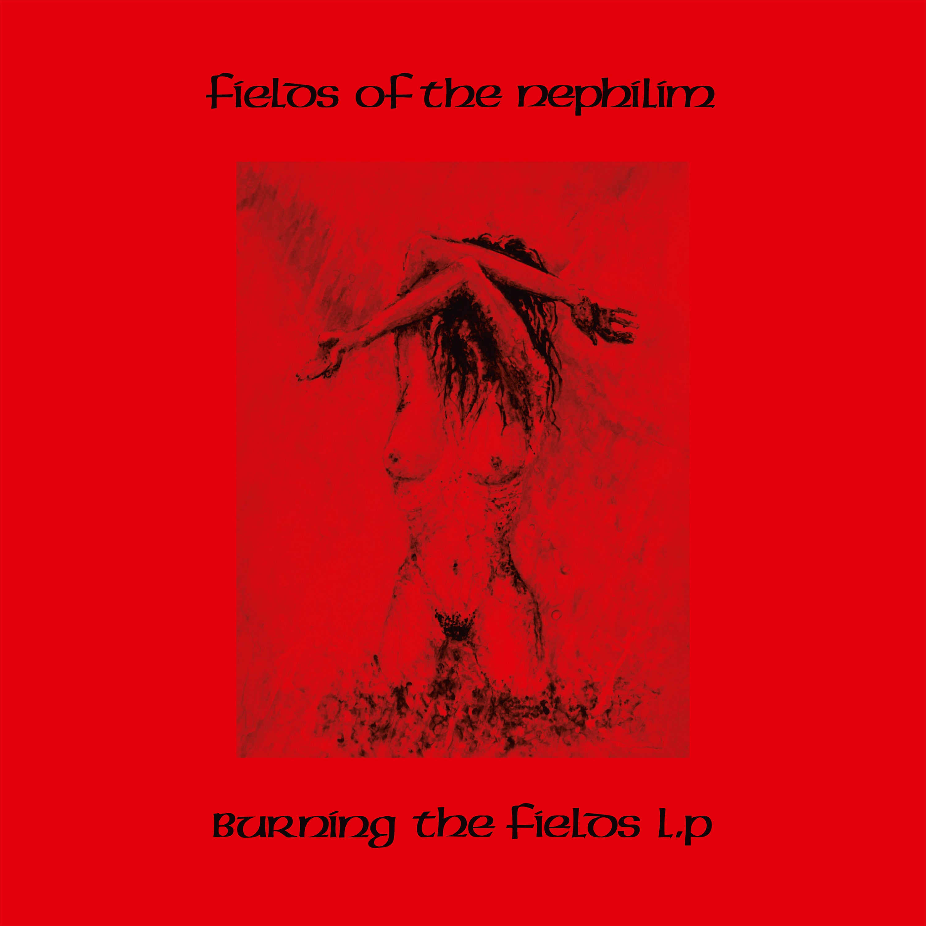 BURNING THE FIELDS - Front Cover