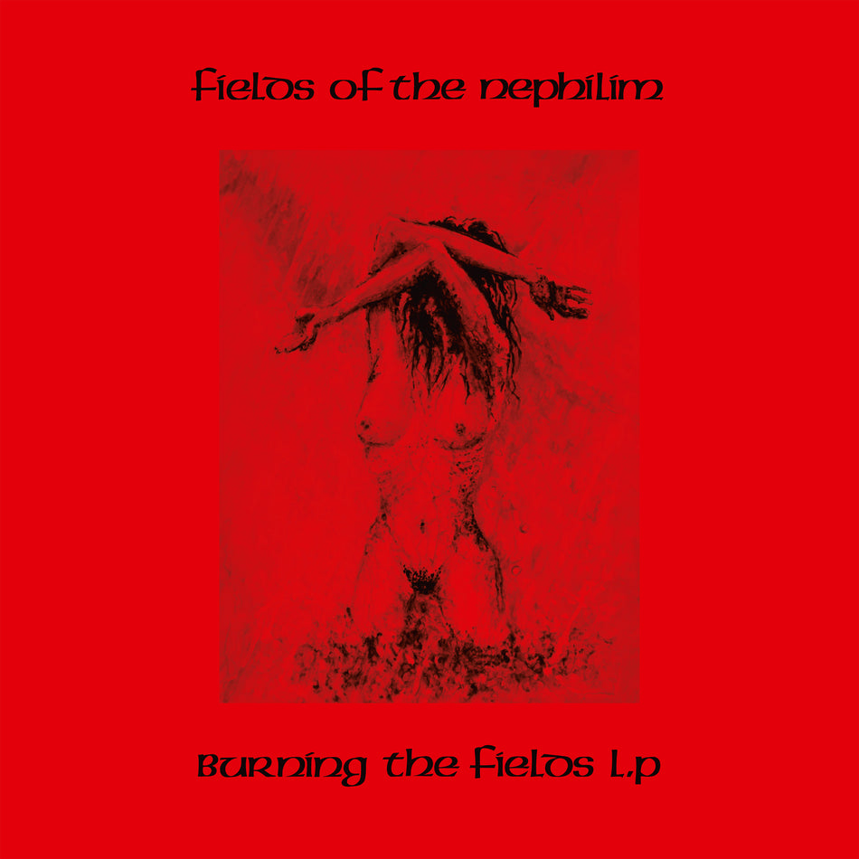 BURNING THE FIELDS - Front Cover