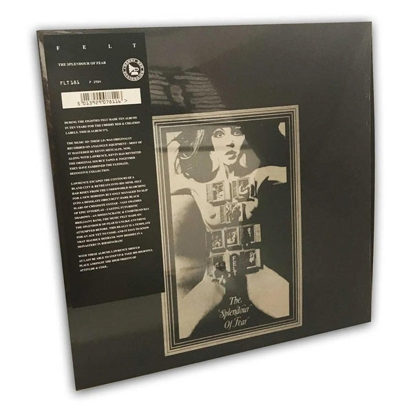 THE SPLENDOUR OF FEAR - Front Cover